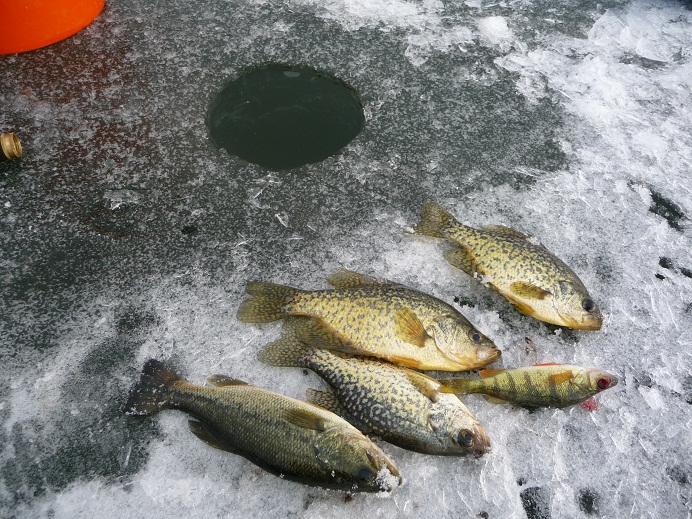 ice-fishing 12-26-11 010.JPG