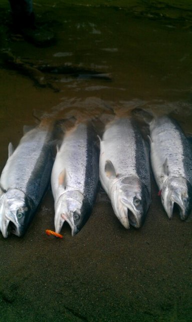 January 7 2012 Coastal Chrome.jpg