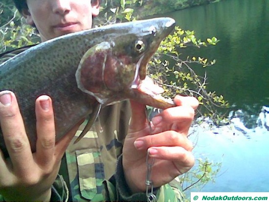 13641_trout_21_1.jpg