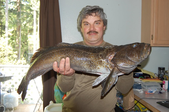 5-2 lingcod 002r.jpg