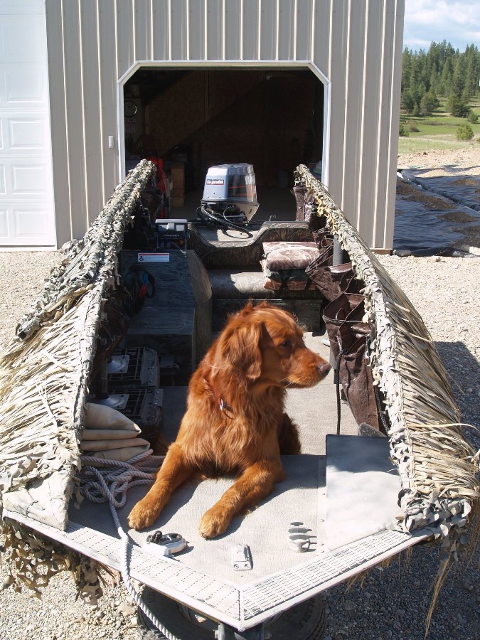 Pheasant_and_Boat_5-9-08_014.jpg