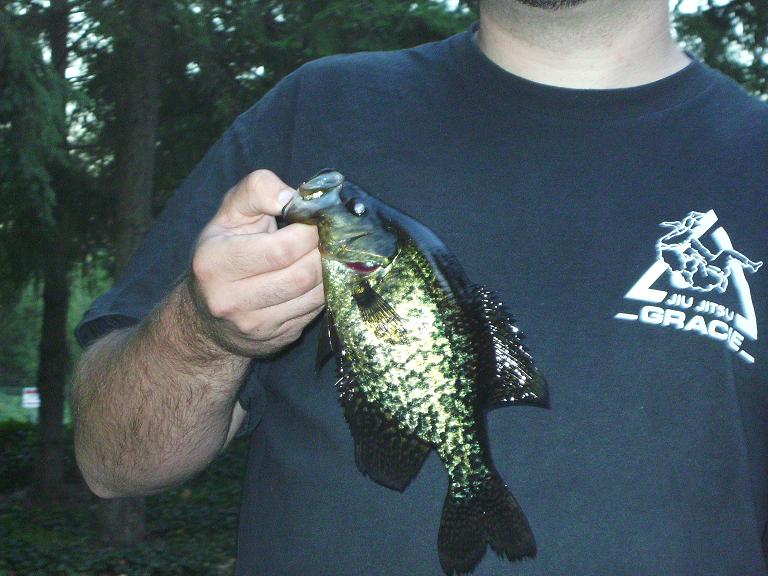 five_mile_crappie.JPG