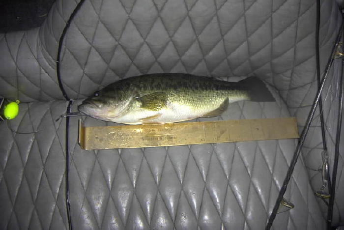 2_lb_15_oz_Largie_off_dock_southwest_side.jpg