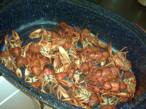 crawdaddies.jpg