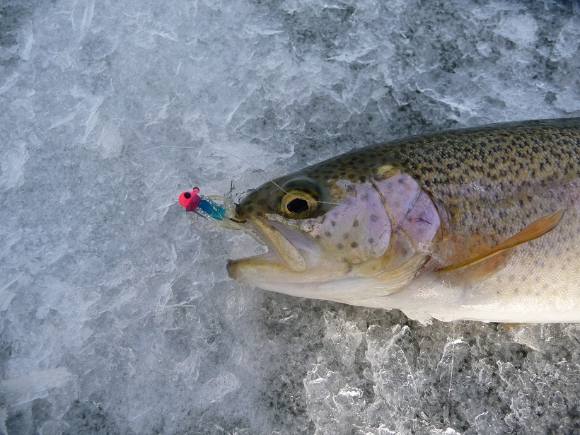 ice-fishing 12-26-11 007.JPG