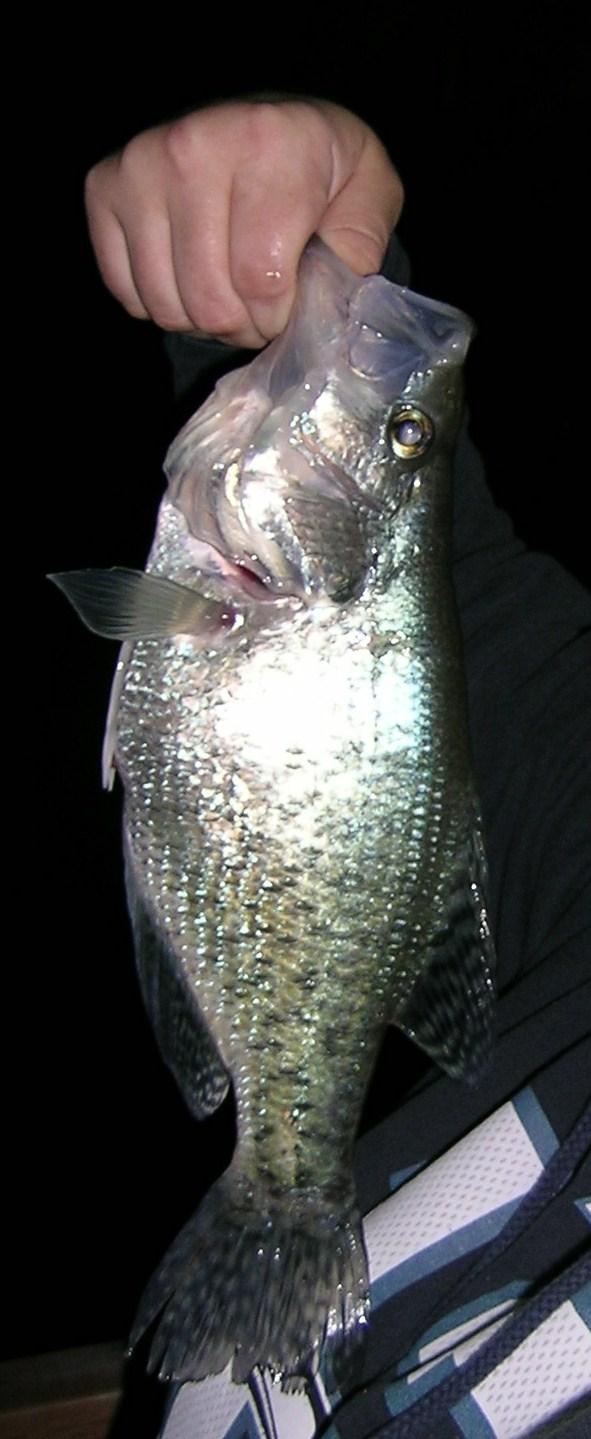 candace_big_silver_lake_crappie.jpg