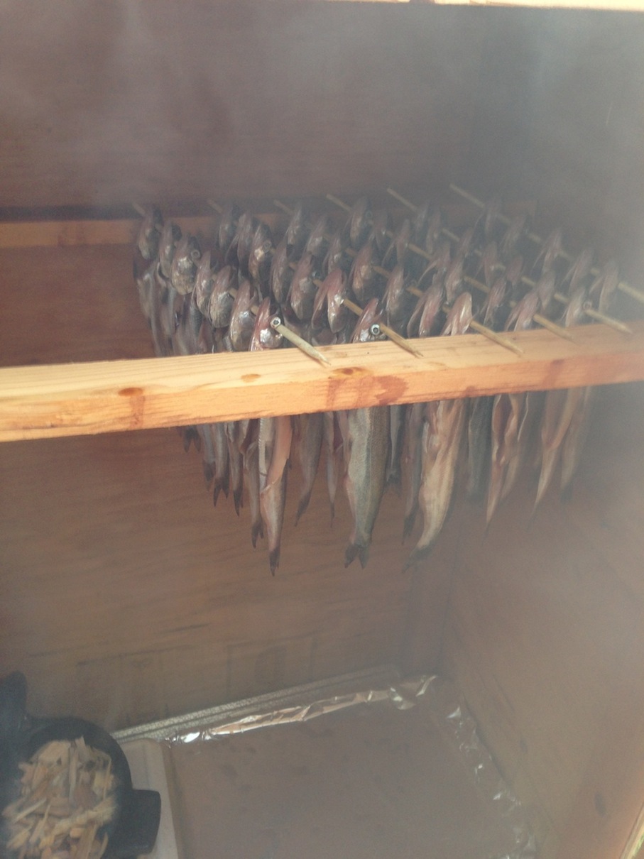 smelt in the smoker.jpg