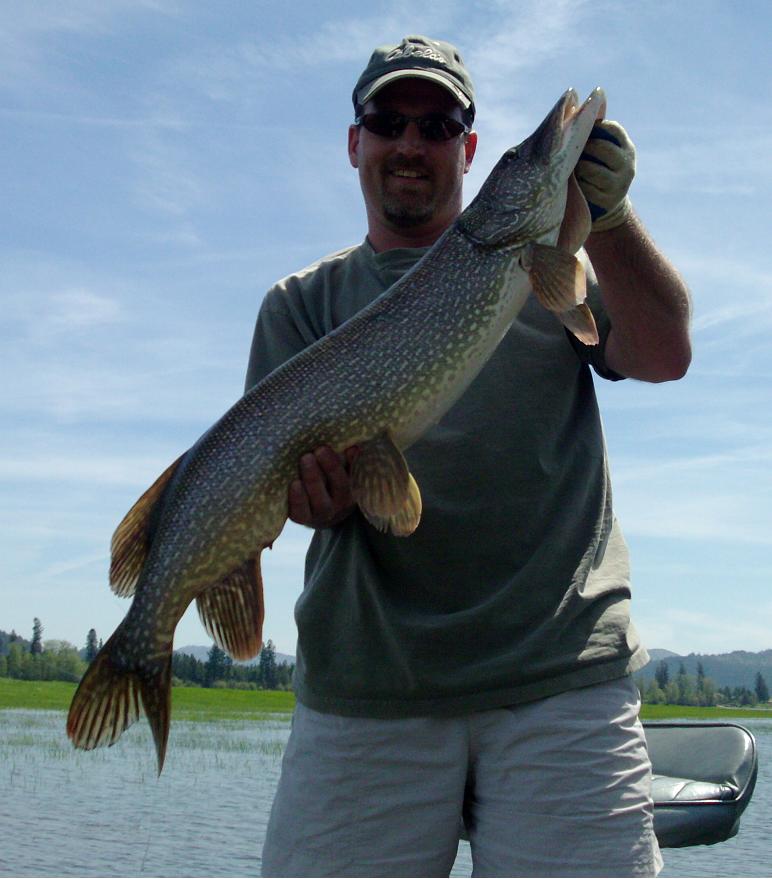 PORiver_Pike_37inch_051809_1.jpg