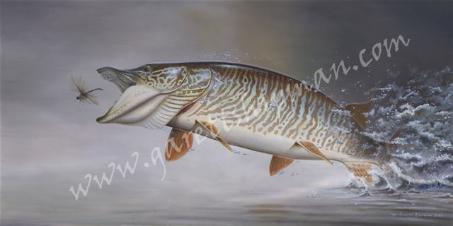 muskellunge_1000_c.jpg